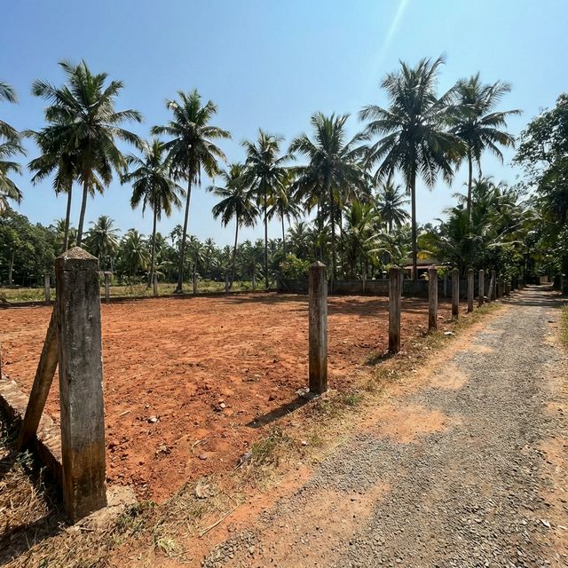 Corner Plot in Singanallur